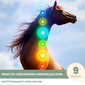 Praktyk Uzdrawiania Energią dla Koni - Certyfikowany Kurs